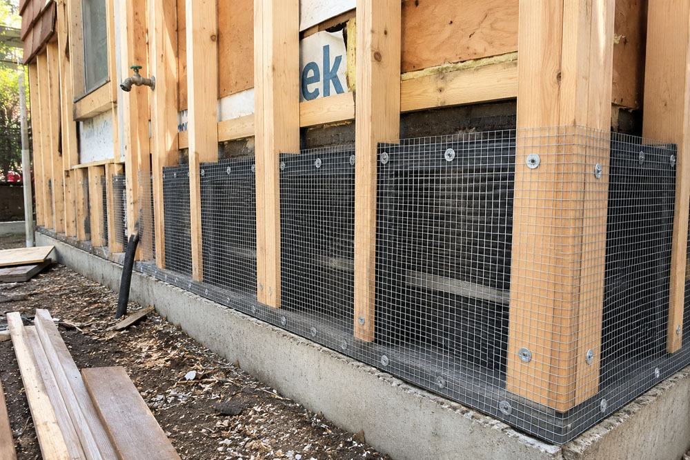 Renovation wall framing with galvanized exclusion mesh fastened at the base